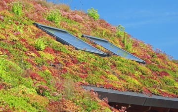 Harestock living roof systems
